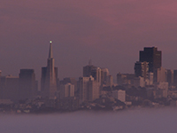 SF2014